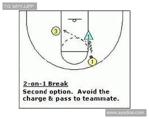 成都排球队快攻战术解析与实战应用探讨