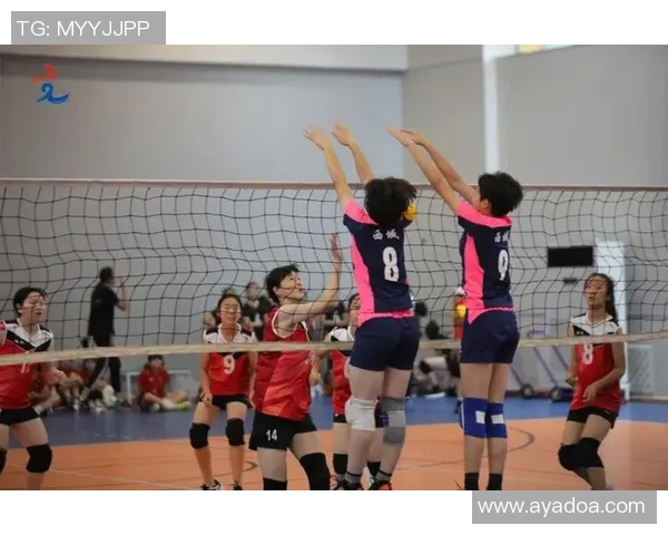 深入探讨北京排球队实力对比及未来发展潜力分析