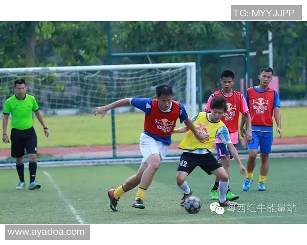 深圳足球队耐力争议引发热议球迷对球队表现的不同看法与期待